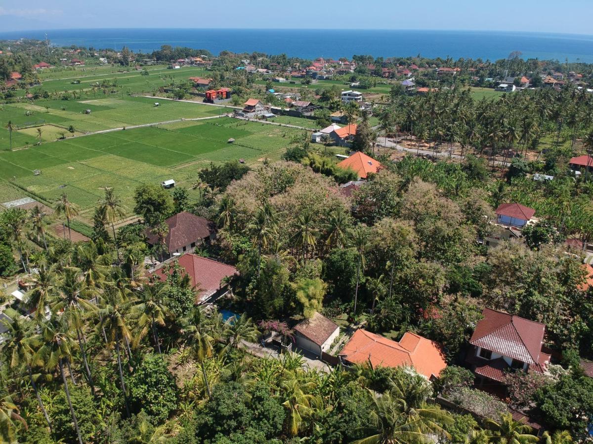 Villa Kelapa Lovina Exterior foto